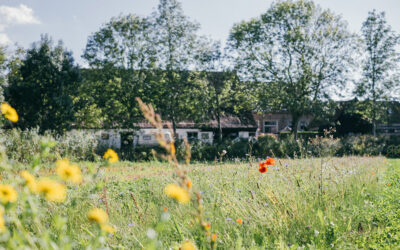Plantdag zat 15 maart