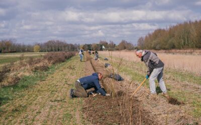 1000 bomen geplant!