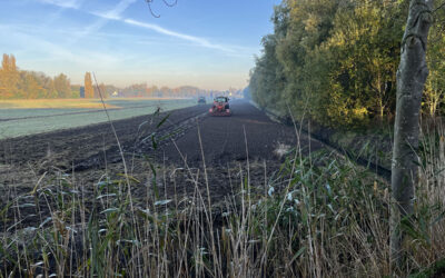 Strokenteelt
